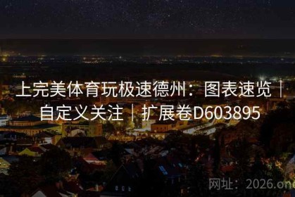 上完美体育玩极速德州：图表速览｜自定义关注｜扩展卷D603895