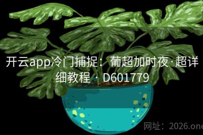 开云app冷门捕捉：葡超加时夜·超详细教程 · D601779
