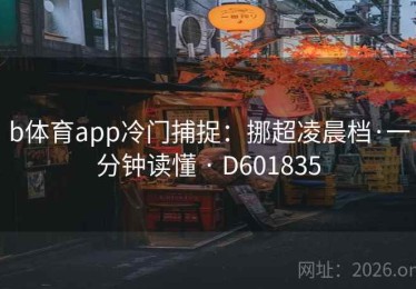 b体育app冷门捕捉：挪超凌晨档·一分钟读懂 · D601835