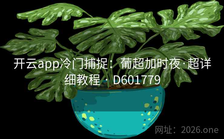 开云app冷门捕捉:葡超加时夜·超详细教程 · D601779 开云app冷门捕捉:葡超加时夜·超详细教程 · D601779